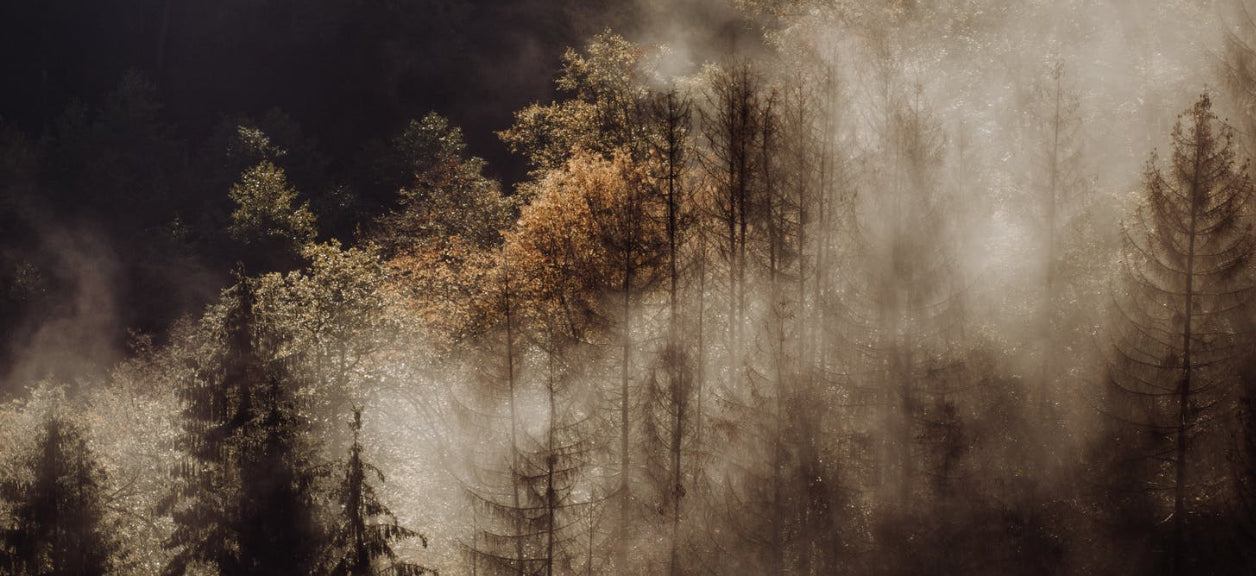 Clean breathing during fire season