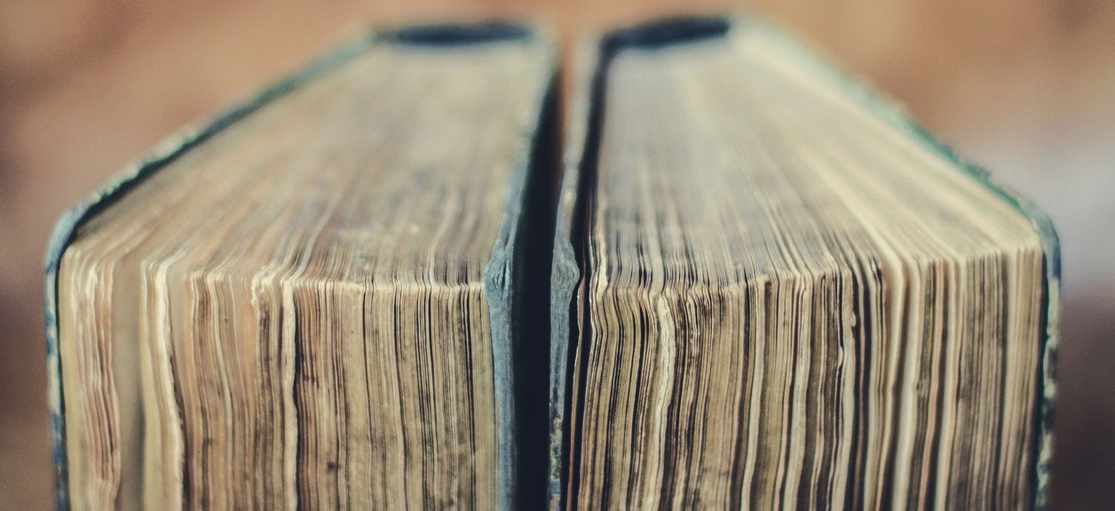 black mold on old books