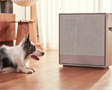 A person who purchased an air purifier after wondering: How can I help my dog breathe easier?