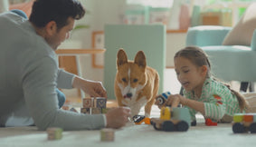A family after a fall clean up from investing in an air purifier from Cowaymega.