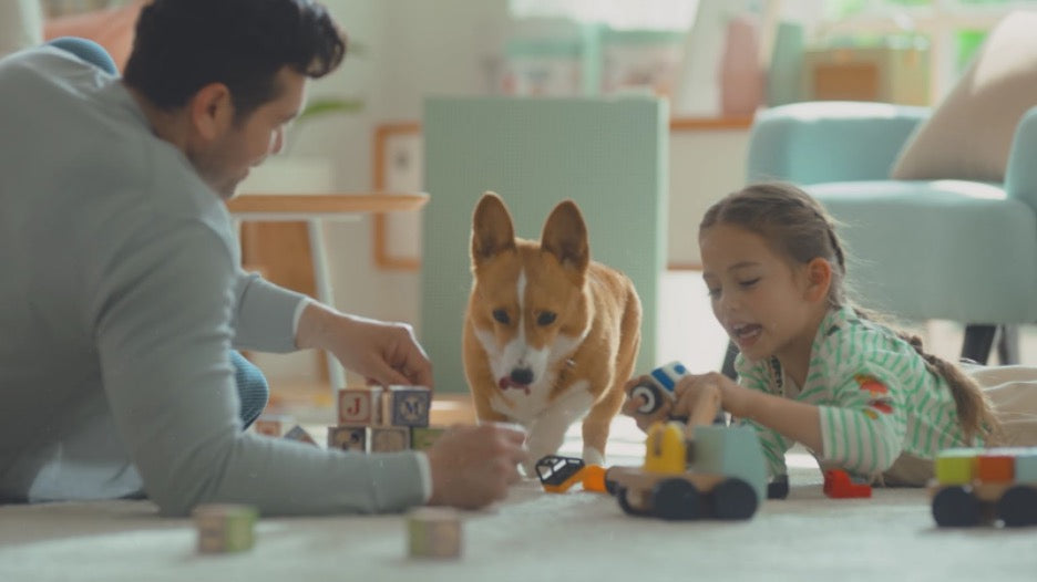 A family after a fall clean up from investing in an air purifier from Cowaymega.