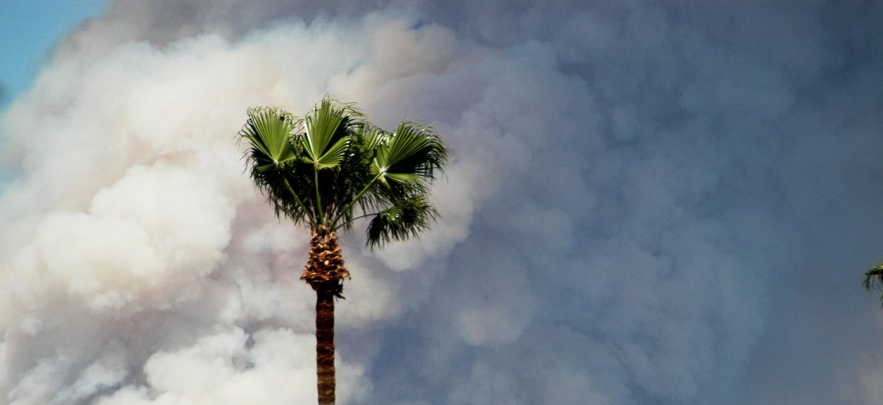 wildfire behind homes