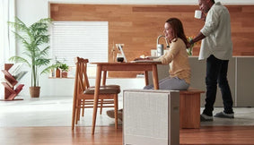 Airmega 250 in living room 