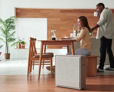 Airmega 250 in living room 