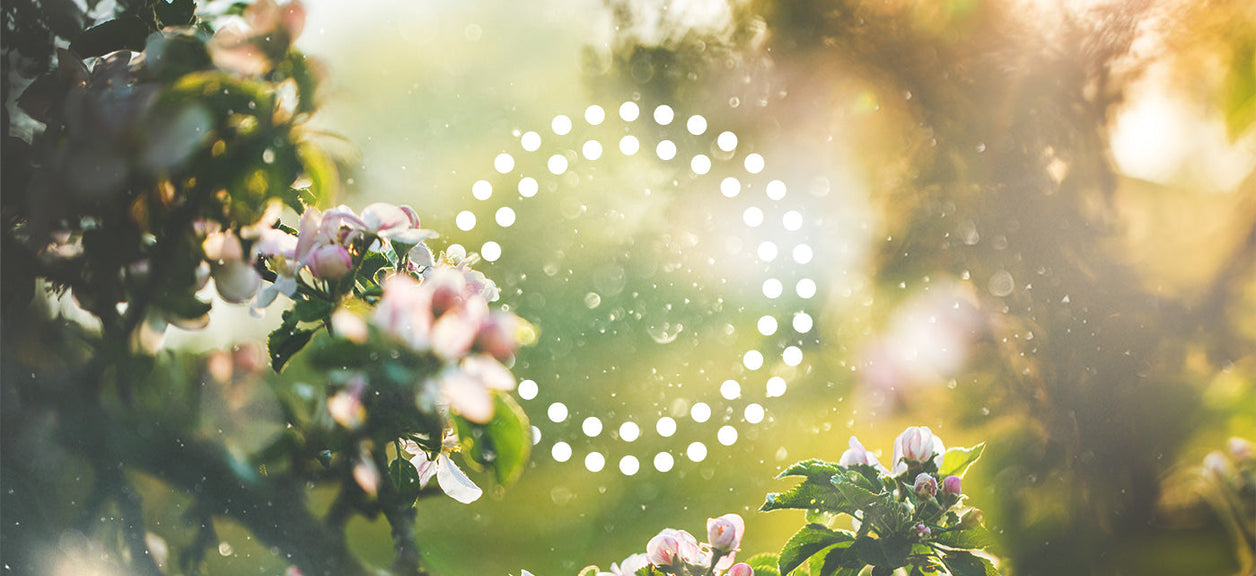 air quality indicator with flowers in background