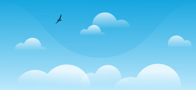 bird flying in blue sky with clouds