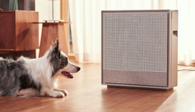 A person who purchased an air purifier after wondering: How can I help my dog breathe easier?