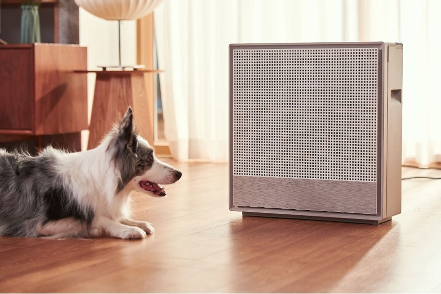 A person who purchased an air purifier after wondering: How can I help my dog breathe easier?