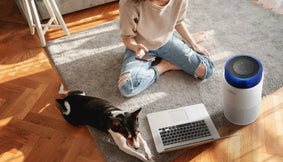 A woman and her dog in an apartment.