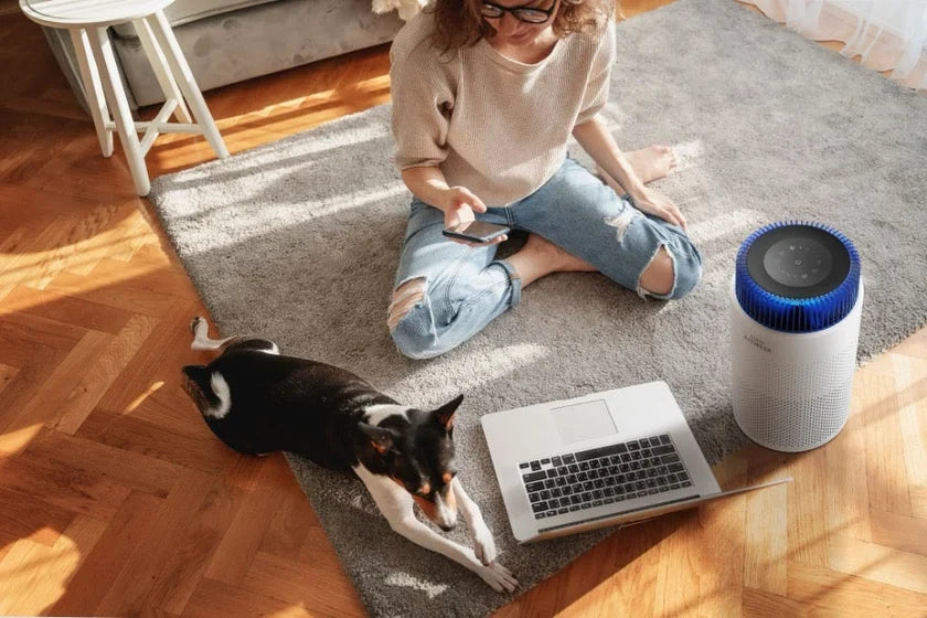 A woman and her dog in an apartment.