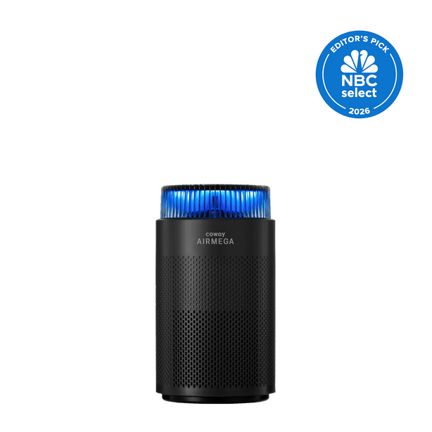Airmega 100