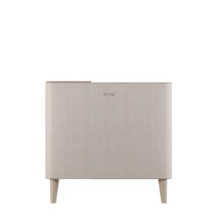 Airmega Icon
