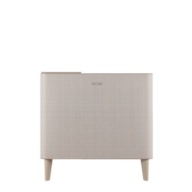 Airmega Icon