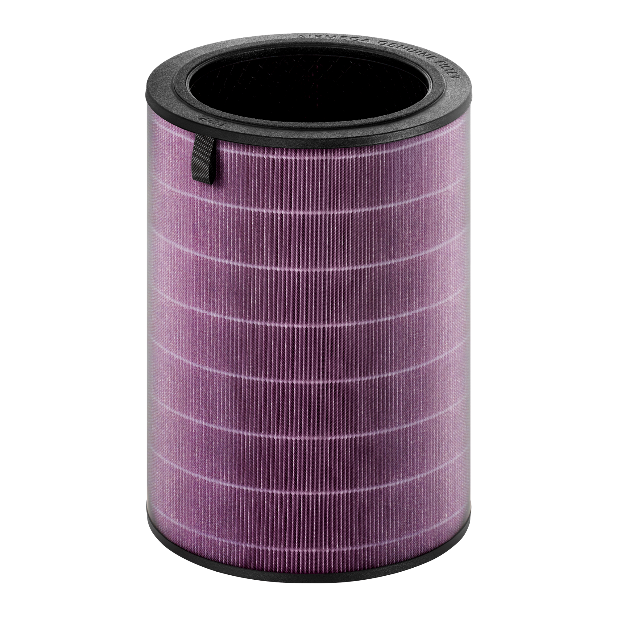 Airmega 450 Filter