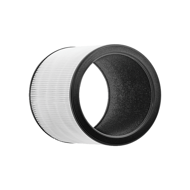 Airmega Aim Filter Top View Image