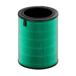 Airmega 350 Filter