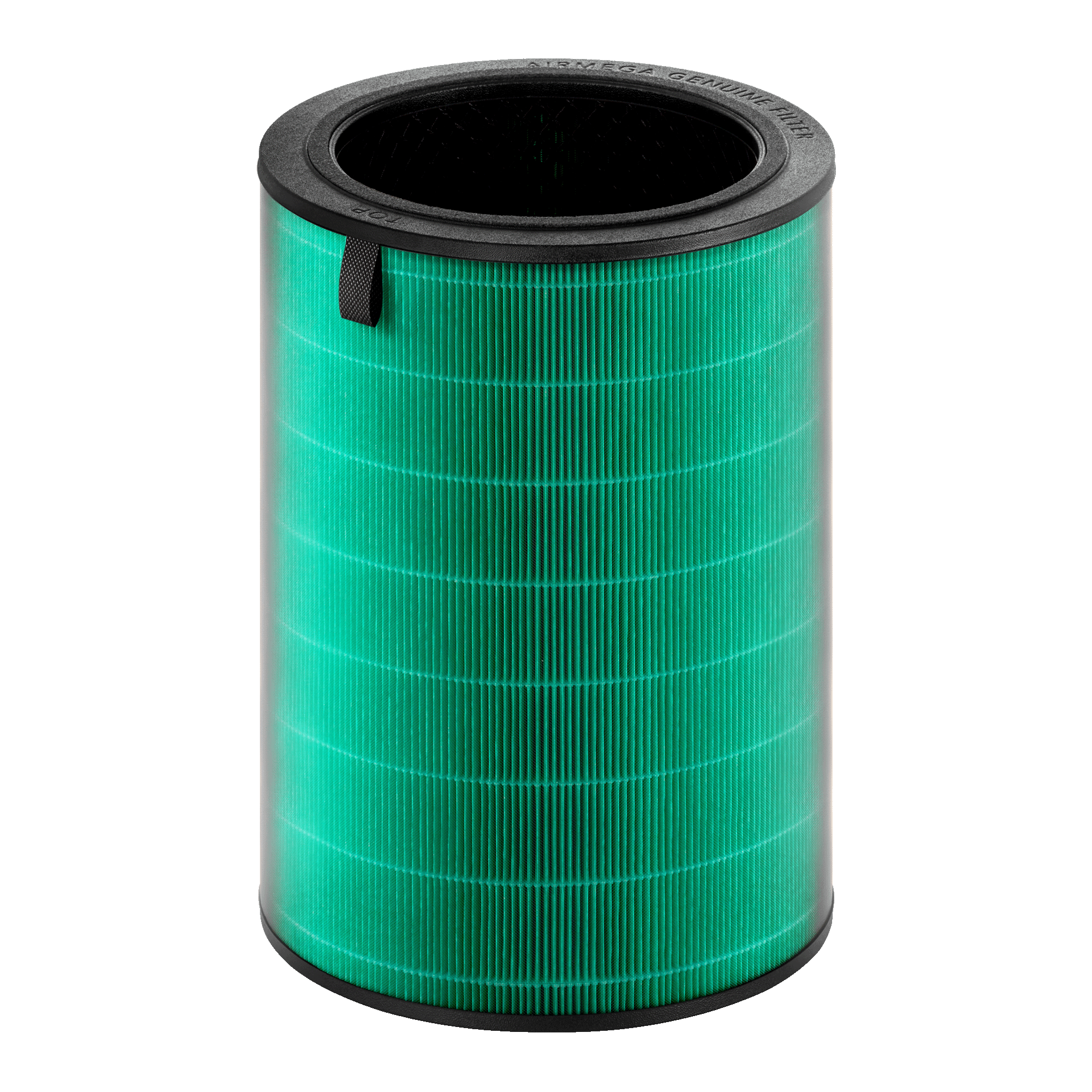 Airmega 450 Filter